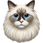 ragdoll cat sticker