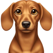 dashund sticker