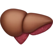 liver sticker