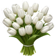 white tulip bouquet  sticker