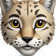 lynx european sticker