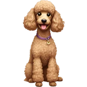 Poodle sticker
