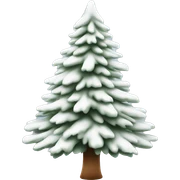  actual white fir christmas tree isolated.  sticker