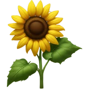 sunflower sticker