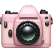 pale pink camera sticker