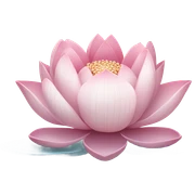 Lotus sticker