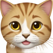 One Million Cats sticker