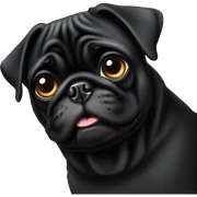 Black pug sticker