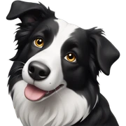 Border collie sticker