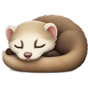 Ferret sleeping sticker