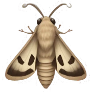 Moth sticker