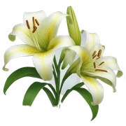 Flowers Lilies sticker