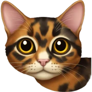 tortoiseshell cat  sticker
