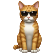 Cat with sunglasses sticker
