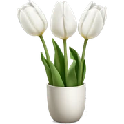 White tulips  sticker