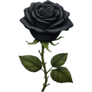 Black rose sticker