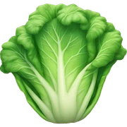 Cabbage sticker
