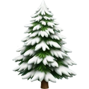  actual white fir christmas tree isolated.  sticker
