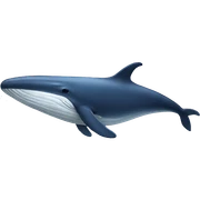 whale sticker