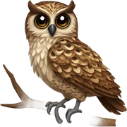 Night owl sticker
