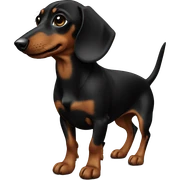 Dachsund black sticker