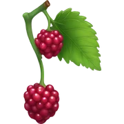 berry sticker