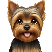 Yorkie brown sticker
