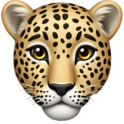 leopard sticker