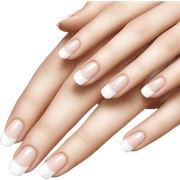 french manicure sticker