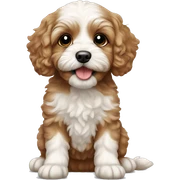 Cavapoo puppy sticker