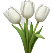 white tulips sticker