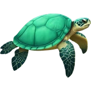 Sea turtle sticker