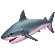 shark with a pink ྀིྀི  sticker