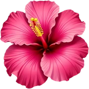 hibiscus flower sticker