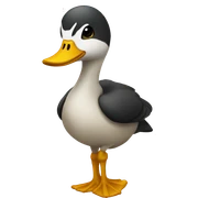 Pato roda sticker