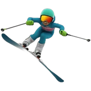 ski sticker