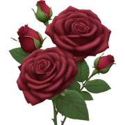 Wine red rose bouquet ￼ sticker