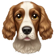 Cocker spaniel Hund  sticker