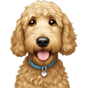 goldendoodle sticker
