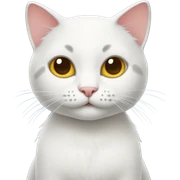 Kitty sticker
