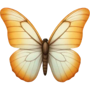 butterfly sticker
