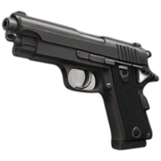 Gun sticker