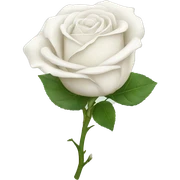 White rose sticker