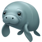 manatee sticker