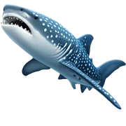 whale shark  sticker