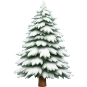  actual white fir christmas tree isolated.  sticker