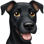 black dog sticker