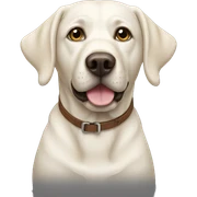 White Labrador  sticker