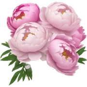 Peonies bouquet sticker