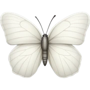White butterfly sticker